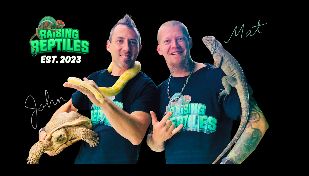 John and Mat with a snake, tortoise, and iguana, beside the Raising Reptiles logo.